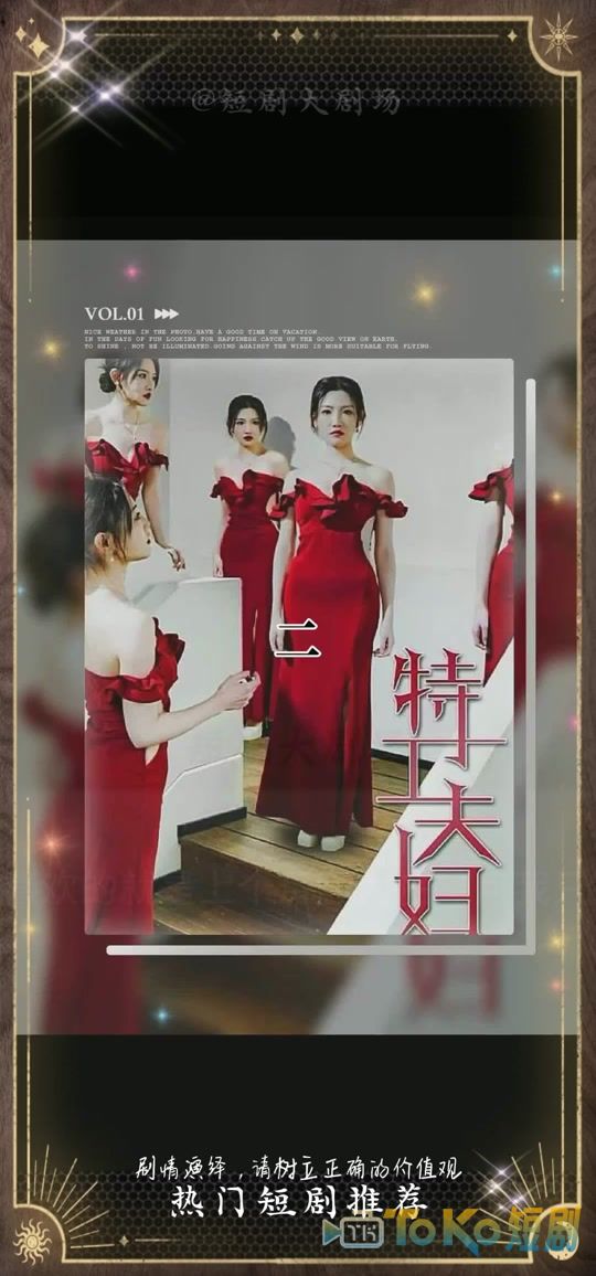 特工夫妇