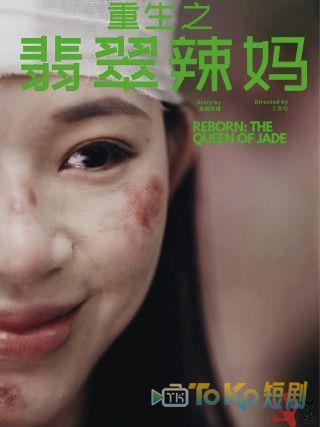 重生之翡翠辣妈