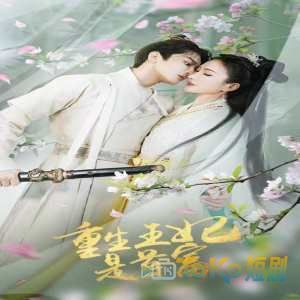 重生王妃是首富