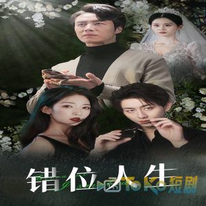 错位人生33集